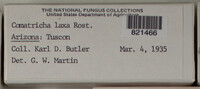 Image Associated With the Occurence